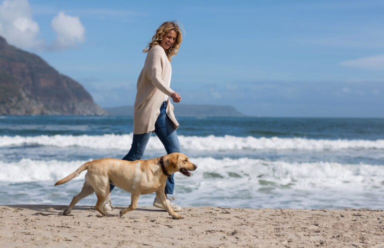 VetCare Owner Transition