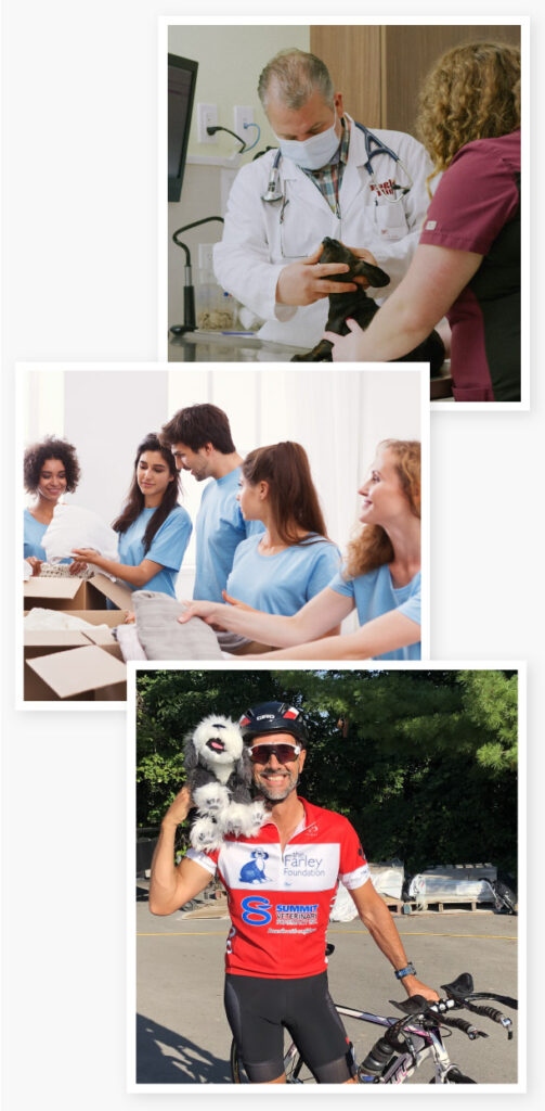 VetCare-Employee-Benefits