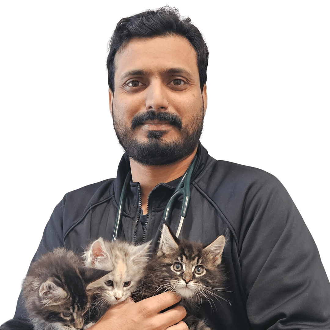 dr shahzad holding two cats