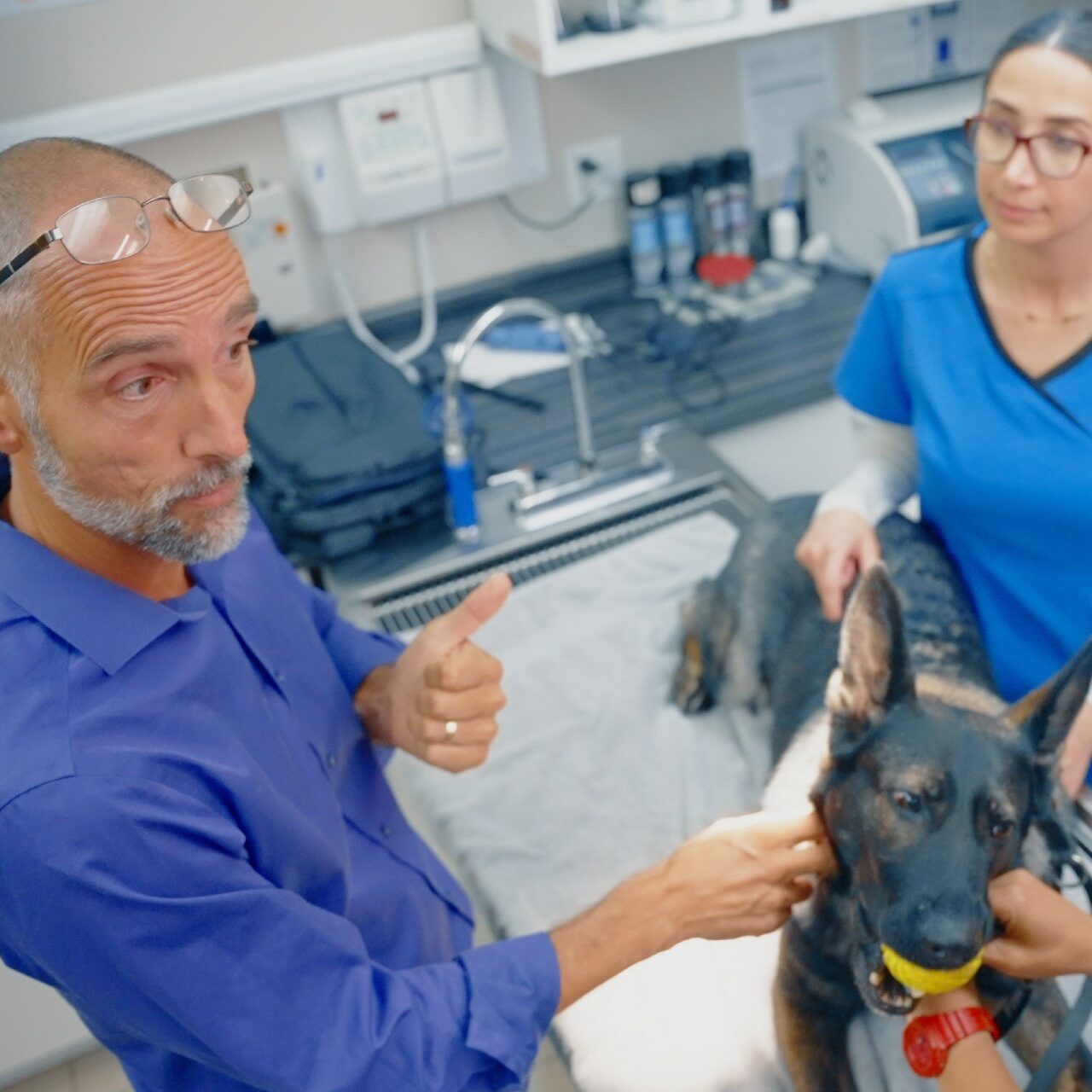 dr albert wimmers veterinarian dvm explains veterinary procedure to vet tech with dog at practice
